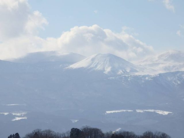 花見山に行きました！