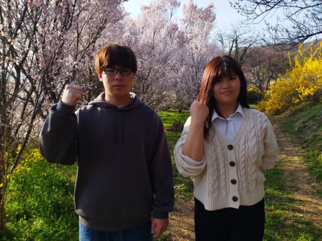花見山見学